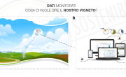 Sistemi di Monitoraggio