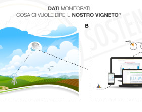 Sistema di Monitoraggio: il nostro vigneto ci parla, ascoltiamolo!