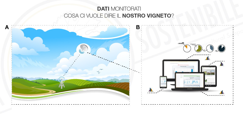 Sistemi di Monitoraggio